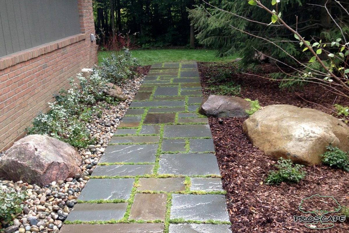Stone path with surrounding greenery and rocks.