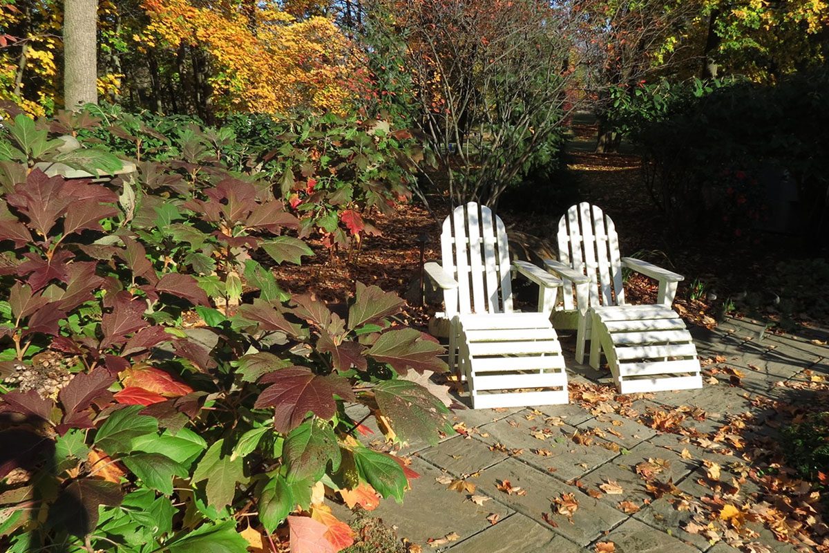 Two white chairs among autumn foliage.