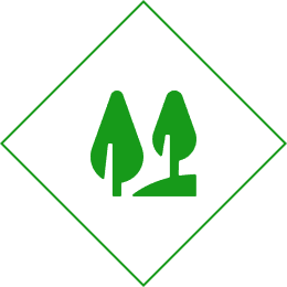 icon (2) Green trees icon inside diamond shape.
