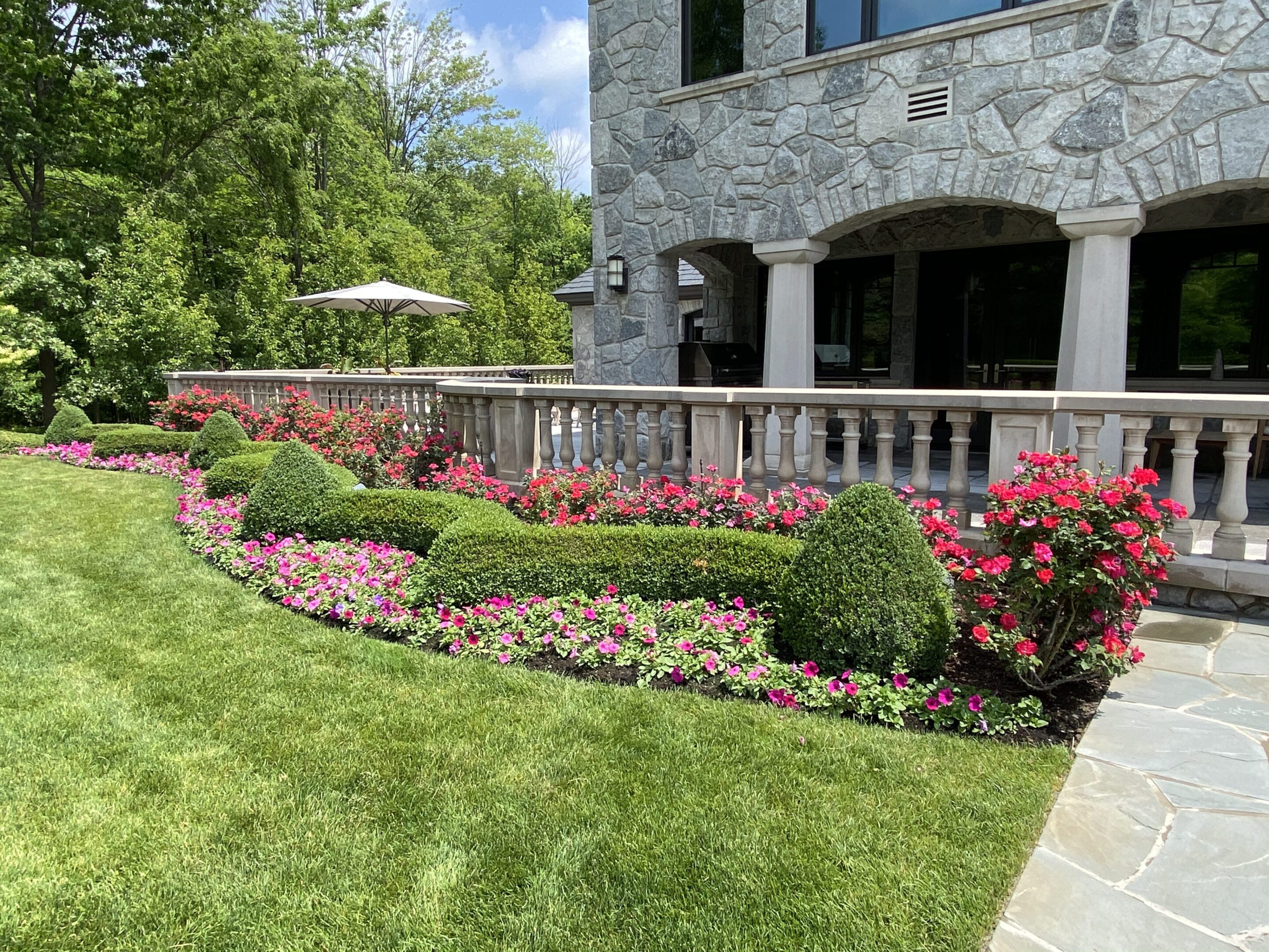 A garden with many different flowers and bushes