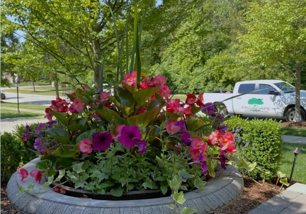A large planter filled with flowers and plants.